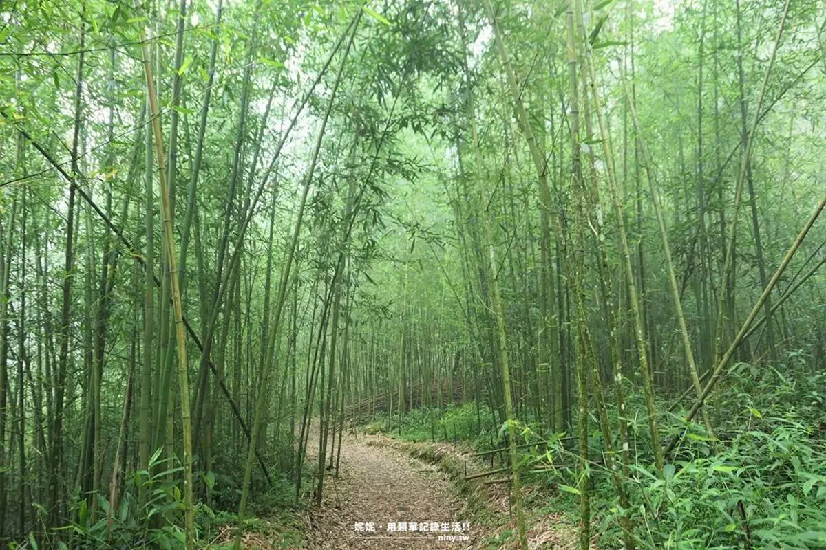 秒殺記憶體！全台9大美拍登山步道：360度海景草原、仙境瀑布