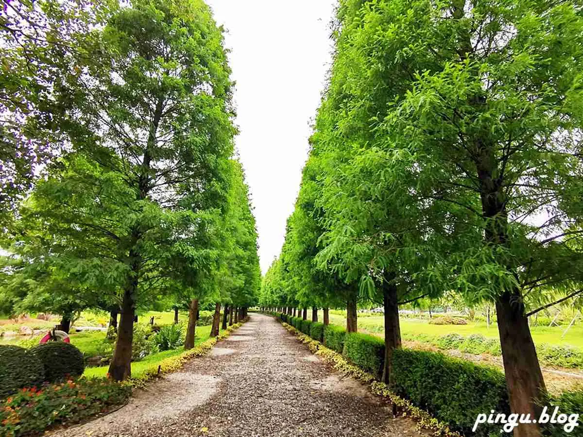 太好拍了！彰化台版「兼六園」找發光月兔、變色「毛怪」，還有IG打卡熱點落羽松大道