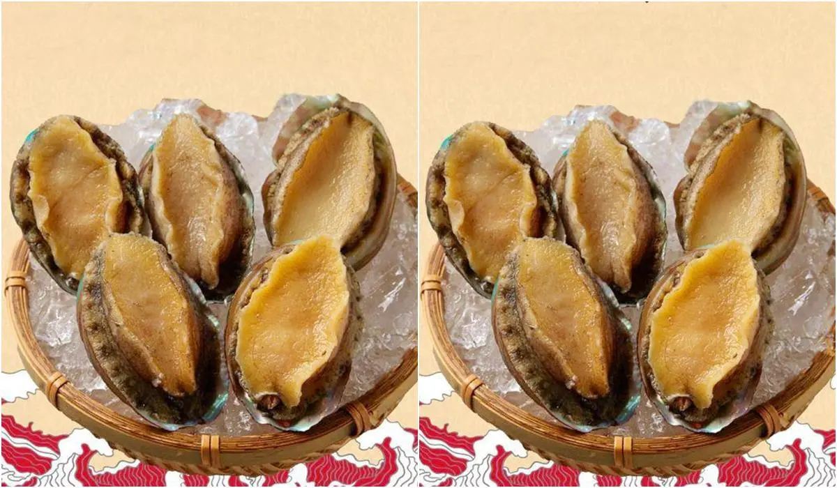 台中人敲碗!王品吃到飽「和牛涮」要來了,650元就能爽吃和牛,台北店2人同行送九孔鮑 台中人敲碗!王品吃到飽「和牛涮」要來了,650元就能爽吃和牛,台北店2人同行送九孔鮑