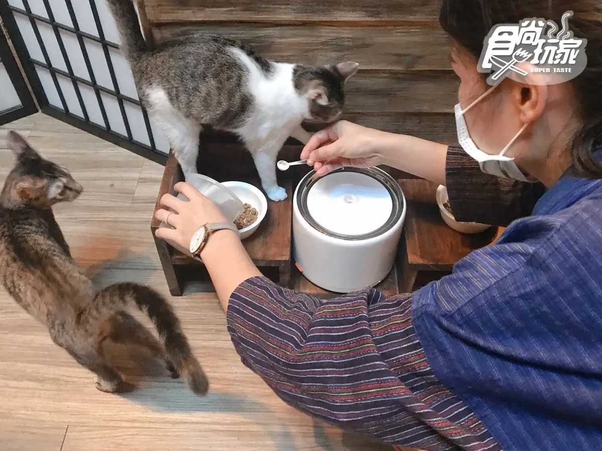 【新開店】貓奴快私藏!台版小京都「弄宅 」獨家大人布丁、金澤手沖咖啡,還有萌喵等門 【新開店】貓奴快私藏!台版小京都「弄宅 」獨家大人布丁、金澤手沖咖啡,還有萌喵等門
