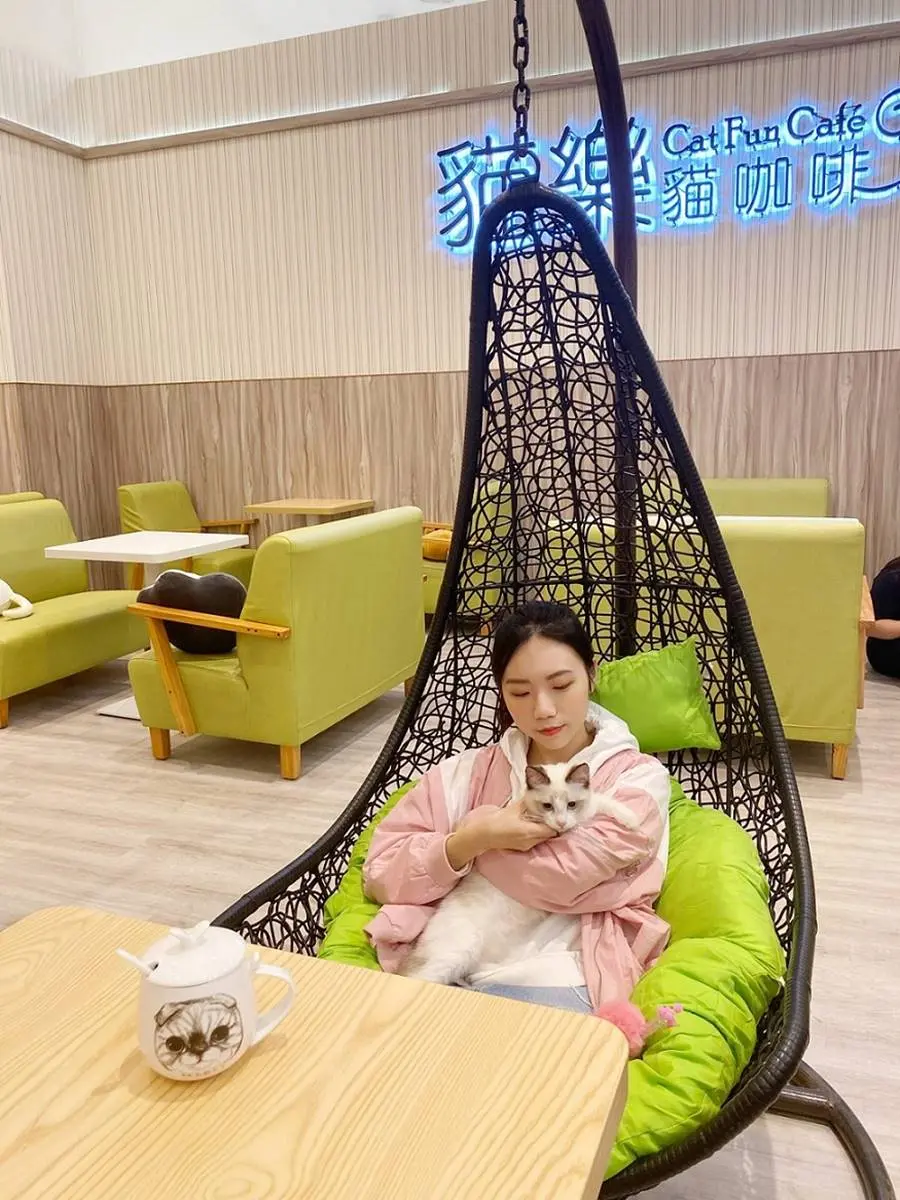 超狂百貨！「韓國年糕火鍋吃到飽＋港式飲茶」等40家新櫃，再衝貓咪咖啡館