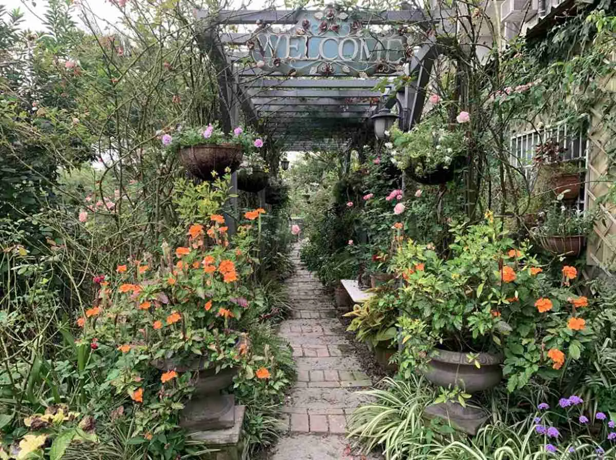 工廠電梯打開走進祕密花園！超美南法小屋藏在彰化鄉間，沒預約進不了門