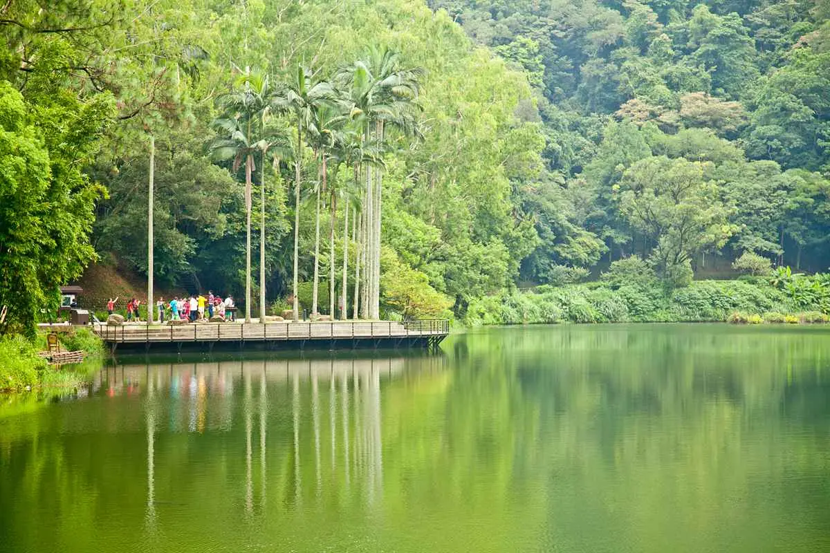 慈湖夢幻七彩水舞秀登場,天天看得到!桃園大溪新亮點,後慈湖祕境步道也開放 慈湖夢幻七彩水舞秀登場,天天看得到!桃園大溪新亮點,後慈湖祕境步道也開放