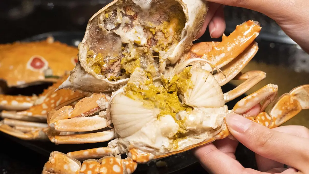 馬辣火鍋好狂!「肥美三點蟹、藍鑽蟹、牛舌」吃到飽,打卡再送免費餐券 馬辣火鍋好狂!「肥美三點蟹、藍鑽蟹、牛舌」吃到飽,打卡再送免費餐券