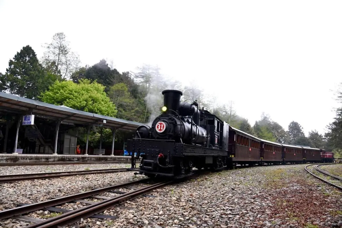 搭全台唯一「檜木列車」賞楓了！森林遊樂區秋冬遊程出爐，還有「星空漫遊」超浪漫