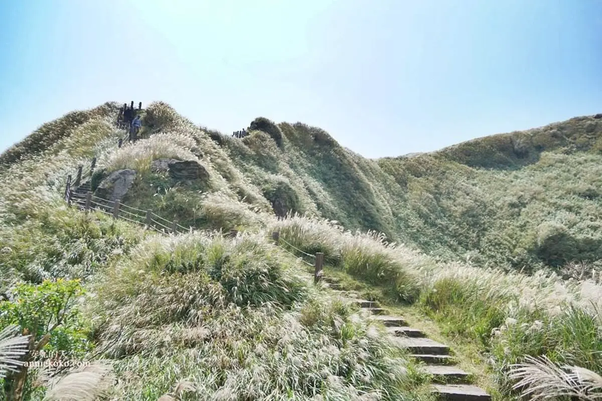 快衝銀白色花海!雙北3大秋季限定芒草美景:火山口地貌、天海一色步道 快衝銀白色花海!雙北3大秋季限定芒草美景:火山口地貌、天海一色步道