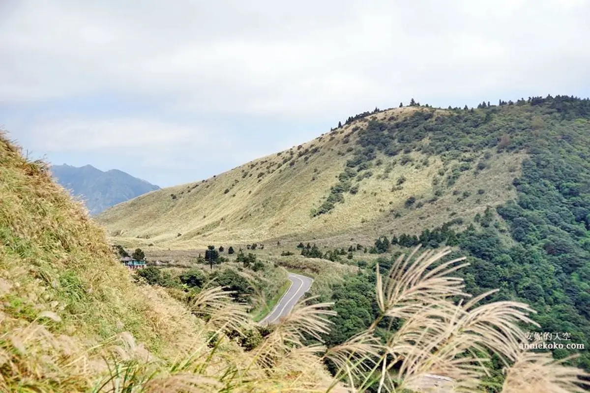 快衝銀白色花海!雙北3大秋季限定芒草美景:火山口地貌、天海一色步道 快衝銀白色花海!雙北3大秋季限定芒草美景:火山口地貌、天海一色步道