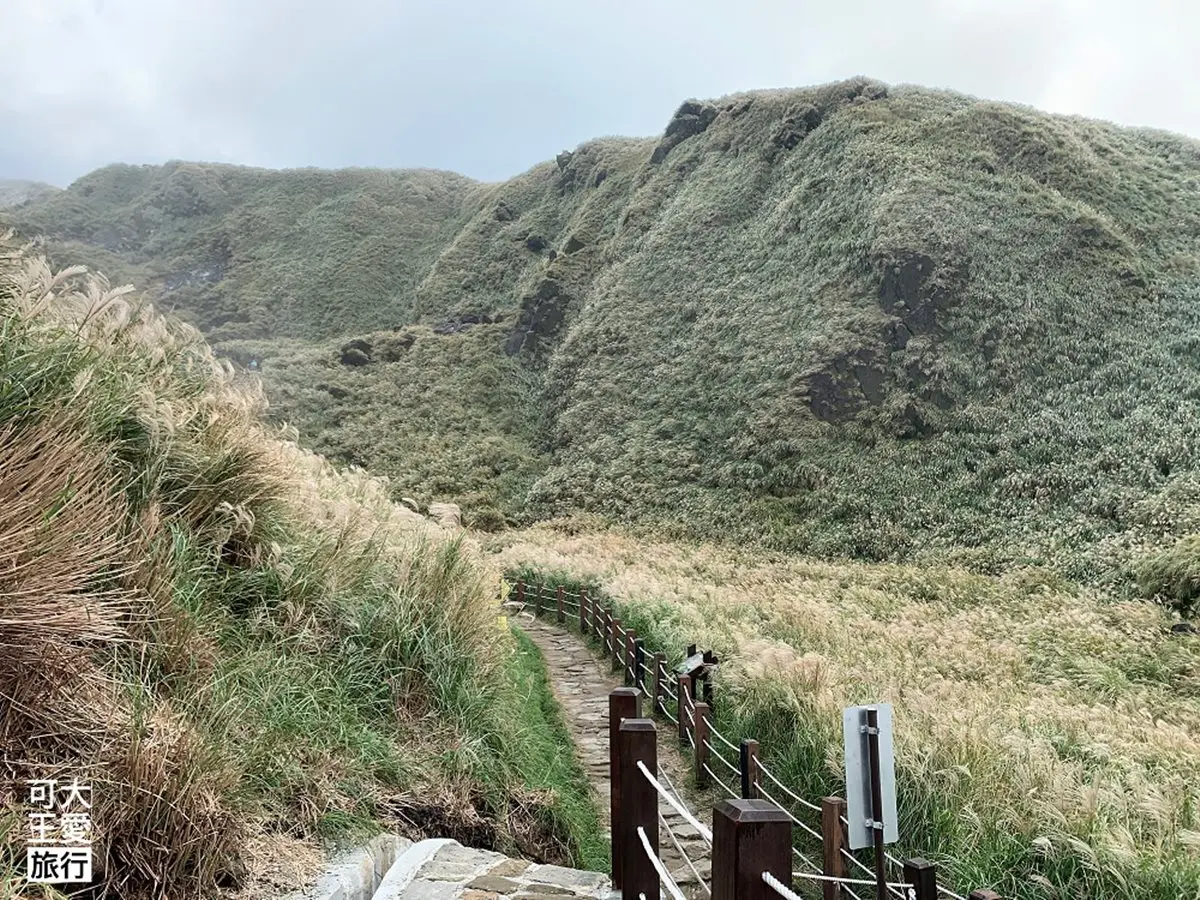 快衝銀白色花海!雙北3大秋季限定芒草美景:火山口地貌、天海一色步道 快衝銀白色花海!雙北3大秋季限定芒草美景:火山口地貌、天海一色步道