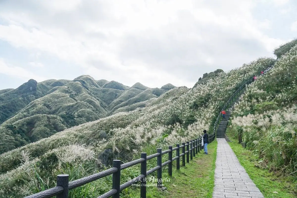 快衝銀白色花海!雙北3大秋季限定芒草美景:火山口地貌、天海一色步道 快衝銀白色花海!雙北3大秋季限定芒草美景:火山口地貌、天海一色步道