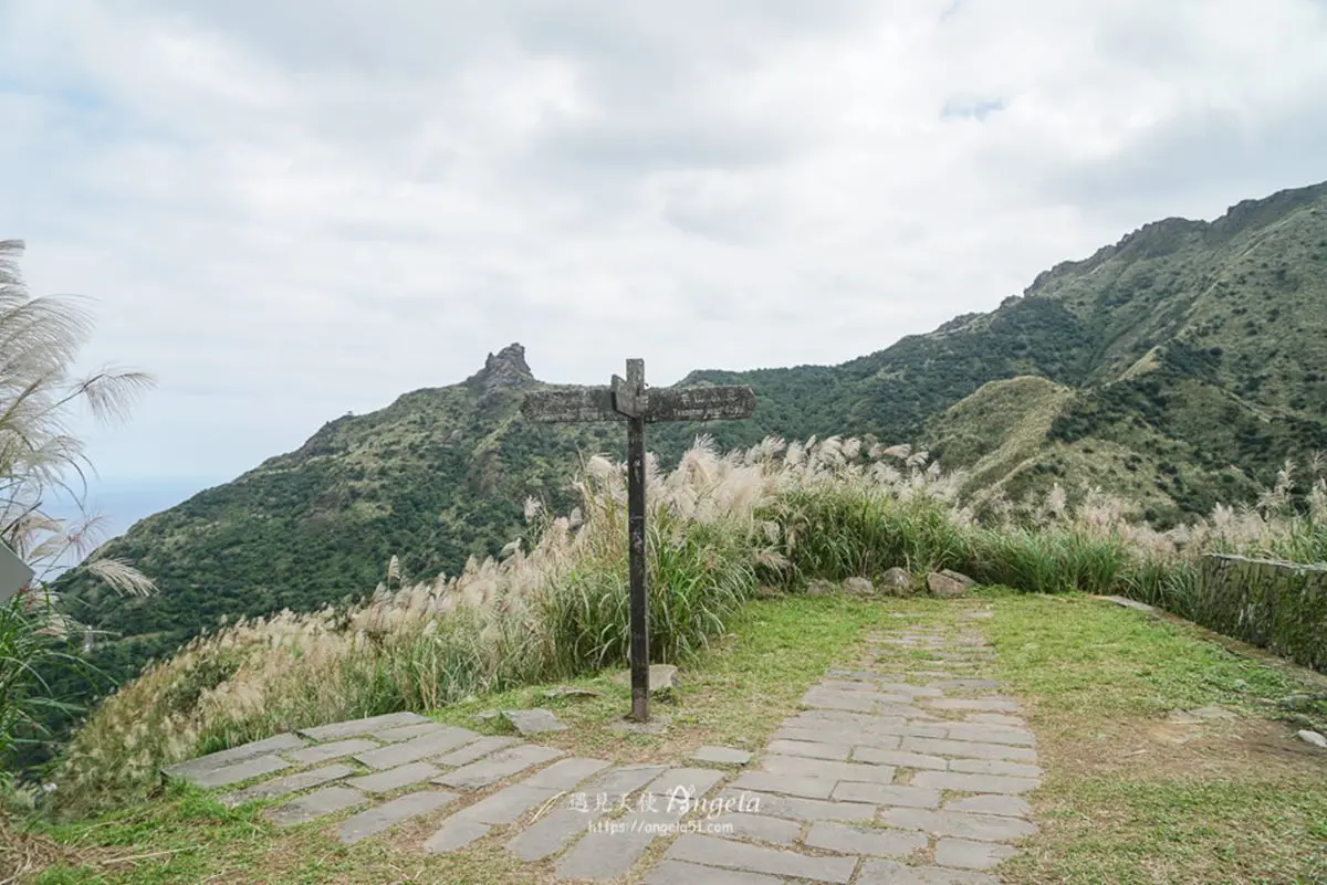 快衝銀白色花海!雙北3大秋季限定芒草美景:火山口地貌、天海一色步道 快衝銀白色花海!雙北3大秋季限定芒草美景:火山口地貌、天海一色步道