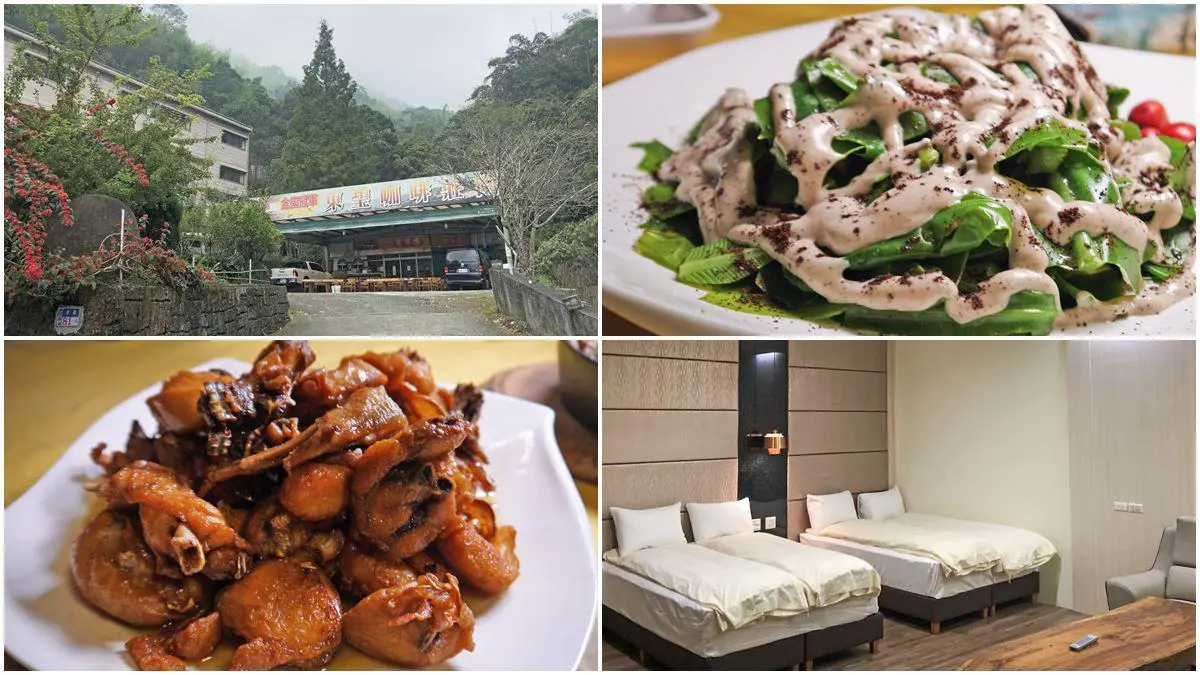 雲林祕境木屋住一晚！夢幻雲海+銀河伴你入眠，還能吃私房菜「咖啡」過貓