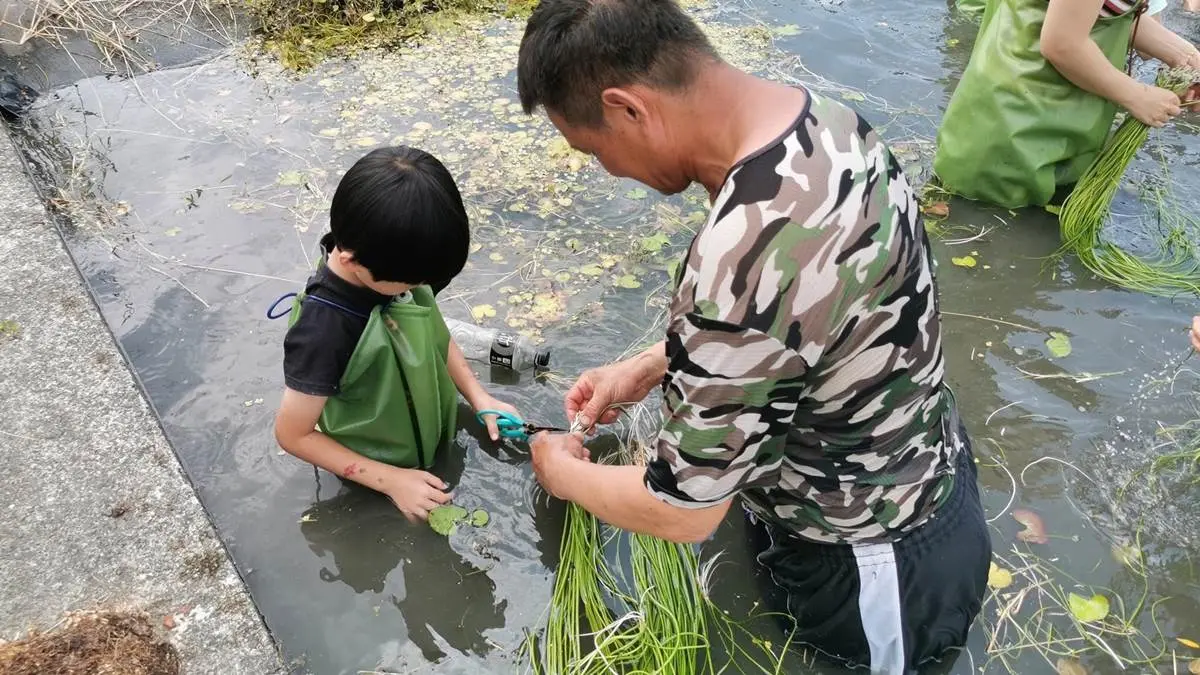 比採草莓更好玩!高雄「採野蓮」超適合親子同樂,鮮脆水蓮還能免費帶回家 比採草莓更好玩!高雄「採野蓮」超適合親子同樂,鮮脆水蓮還能免費帶回家