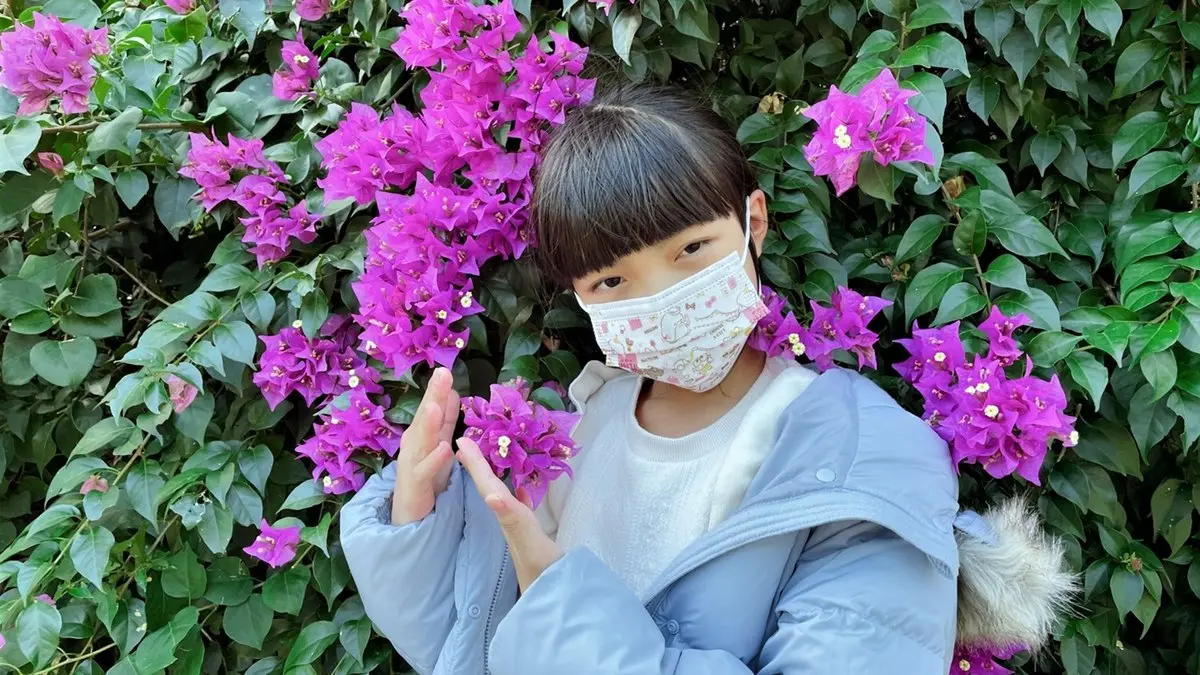 超萌「三麗鷗口罩」上線!康是美這天開賣,屈臣氏加碼推耶誕限定款 超萌「三麗鷗口罩」上線!康是美這天開賣,屈臣氏加碼推耶誕限定款