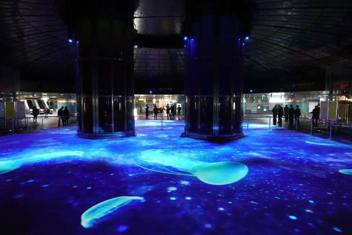 全台最大光雕秀「2大捷運站」都可拍！滿地櫻花場景、超閃「雷射極光」打卡美哭