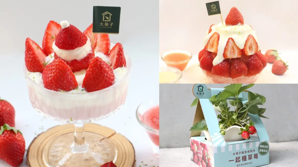 滿滿草莓+鹹奶霜最誘人！大苑子「最狂草莓季」再推2款全新冰品，還能自己種草莓