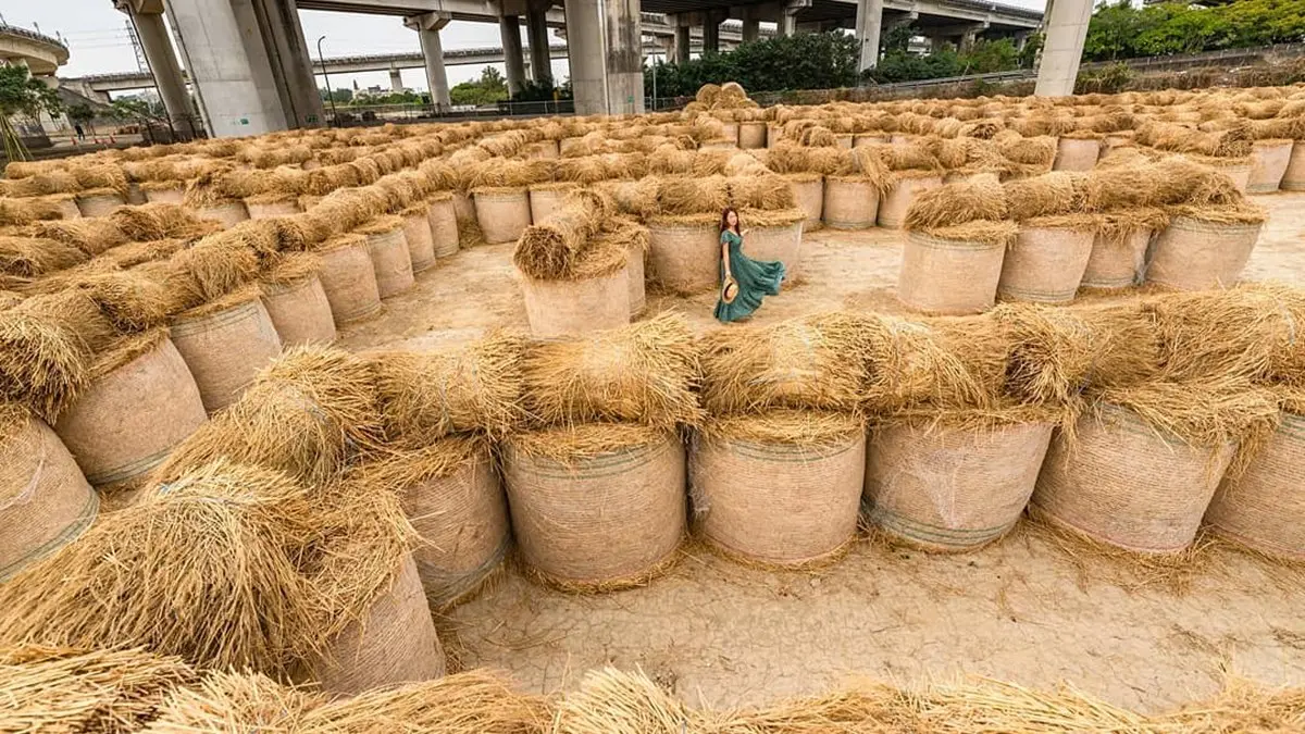 最萌祕境！闖全台最大「600捲稻草迷宮」，還能玩滾草球、看表演、吃滷肉飯