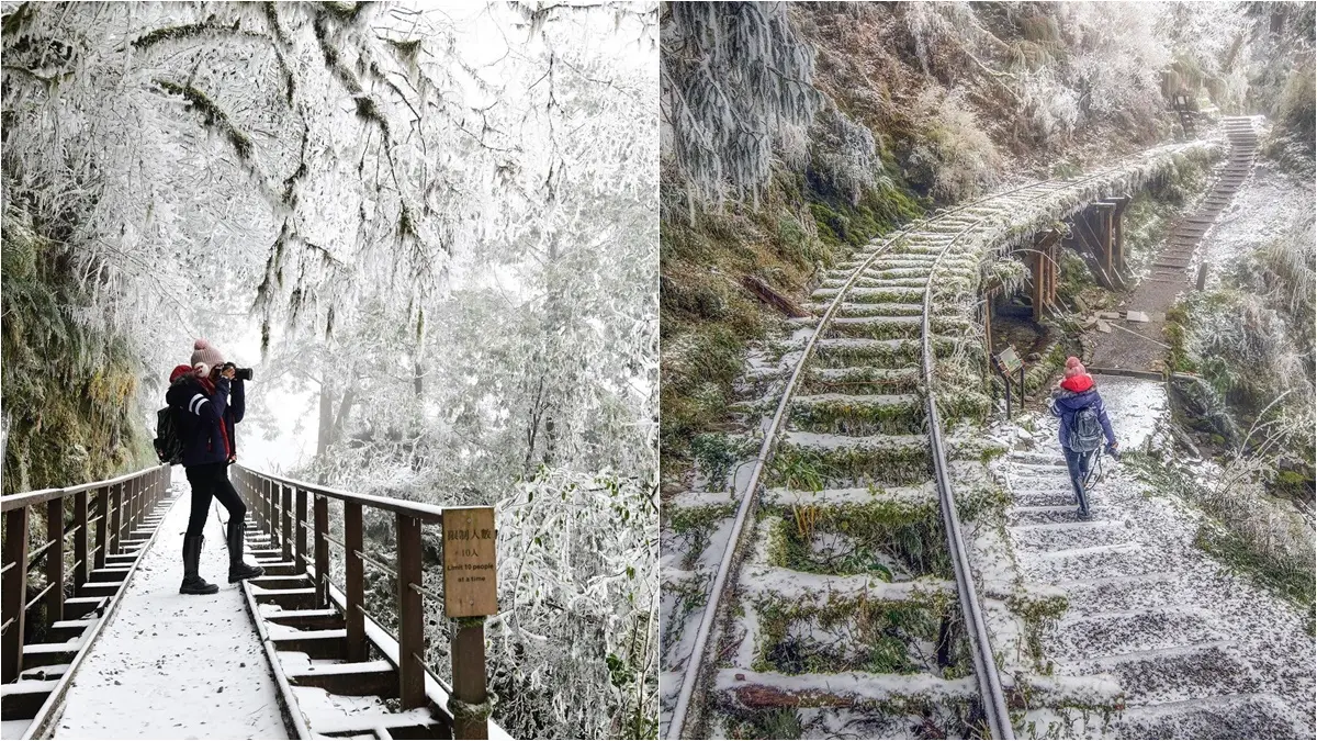 追雪族快衝！新一波寒流再襲台，太平山、合歡山「下雪時間」曝光