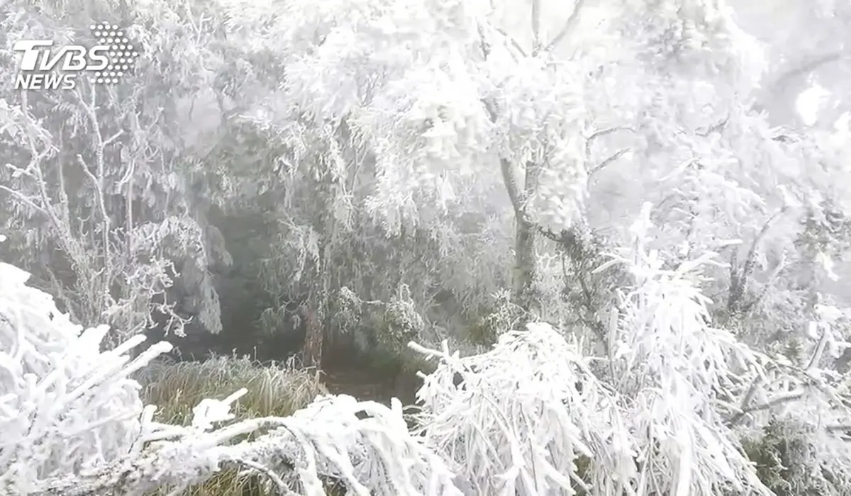 追雪族注意！宜蘭「太平山」下探0度急凍，1/7起至1/10這時管制入園