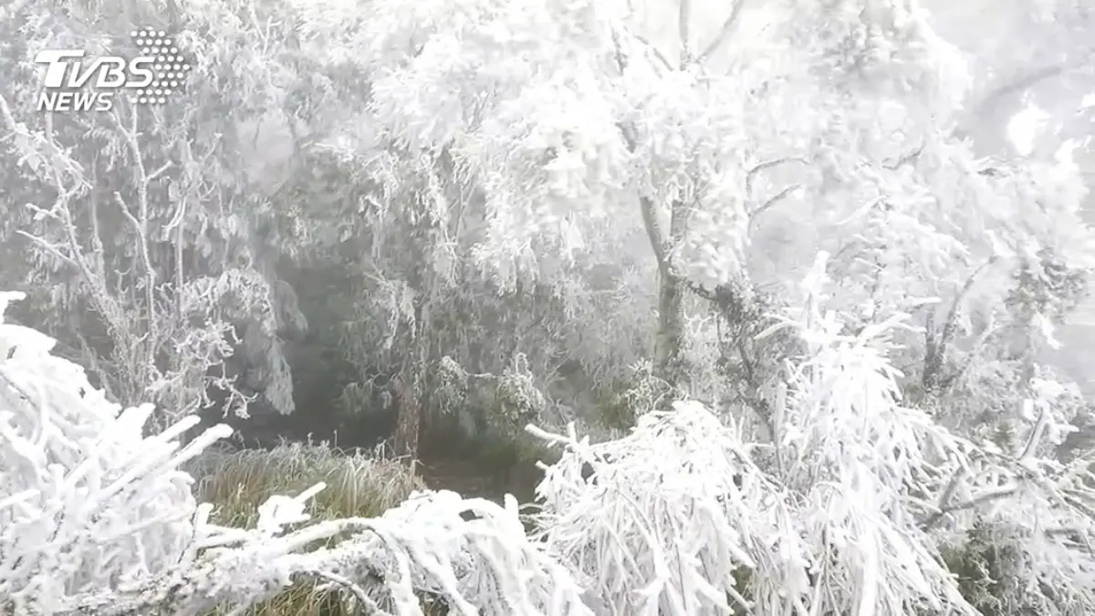 追雪族注意！宜蘭「太平山」下探0度急凍，1/7起至1/10這時管制入園