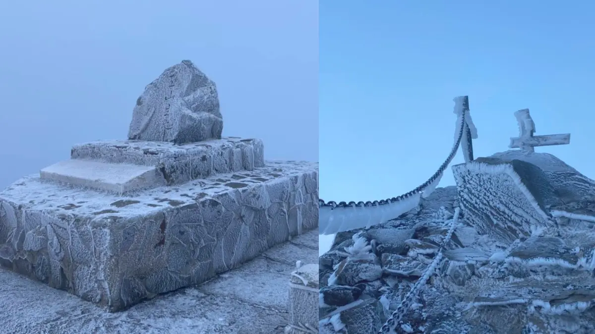 -6.7度銀白世界!玉山出現夢幻「霧淞步道」,最冷寒流登山需注意