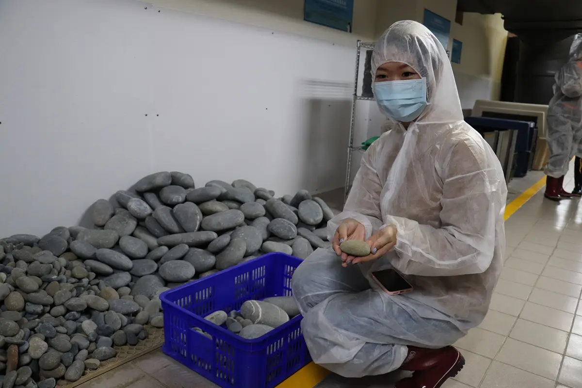 餵鹿、餵馬都輸了！全台首次「企鵝餵食體驗」這天開賣，能看企鵝孵蛋設備、專人幫你拍照