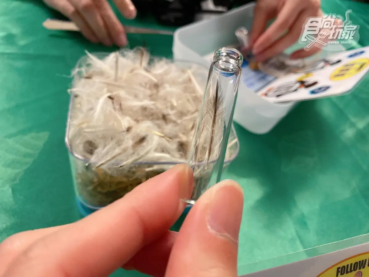 腳邊都是企鵝！全台首次「餵企鵝體驗」開賣，一次看到4大品種、近100隻企鵝給你餵