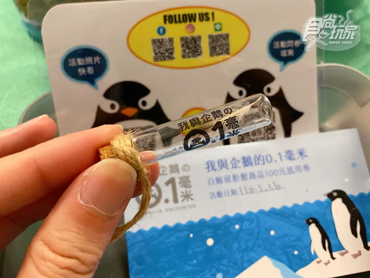 腳邊都是企鵝！全台首次「餵企鵝體驗」開賣，一次看到4大品種、近100隻企鵝給你餵