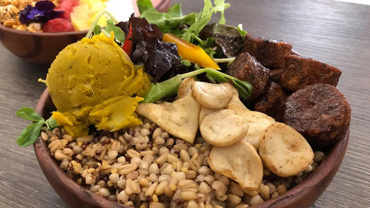 【食尚首播】健身網美會愛!台北純素花藝系蔬食不怕吃不飽,打卡必點彩色果昔碗 【食尚首播】健身網美會愛!台北純素花藝系蔬食不怕吃不飽,打卡必點彩色果昔碗