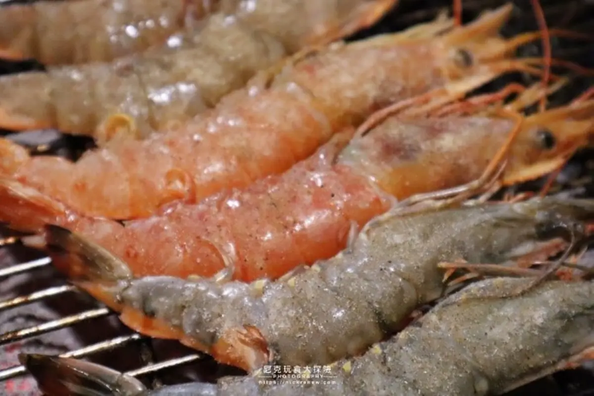 毛小孩也能用餐!台北和牛燒烤吃到飽有99樣食材,必點「海賊王」、天使紅蝦嗑到爽 毛小孩也能用餐!台北和牛燒烤吃到飽有99樣食材,必點「海賊王」、天使紅蝦嗑到爽