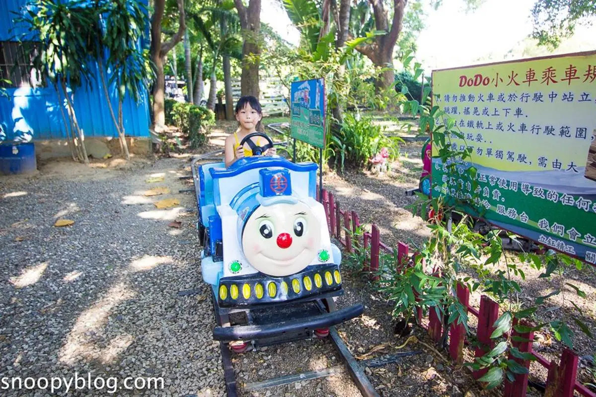 免費遛小孩！嘉義「金桔觀光工廠」玩樹屋溜滑梯、坐小火車，還能果醬DIY