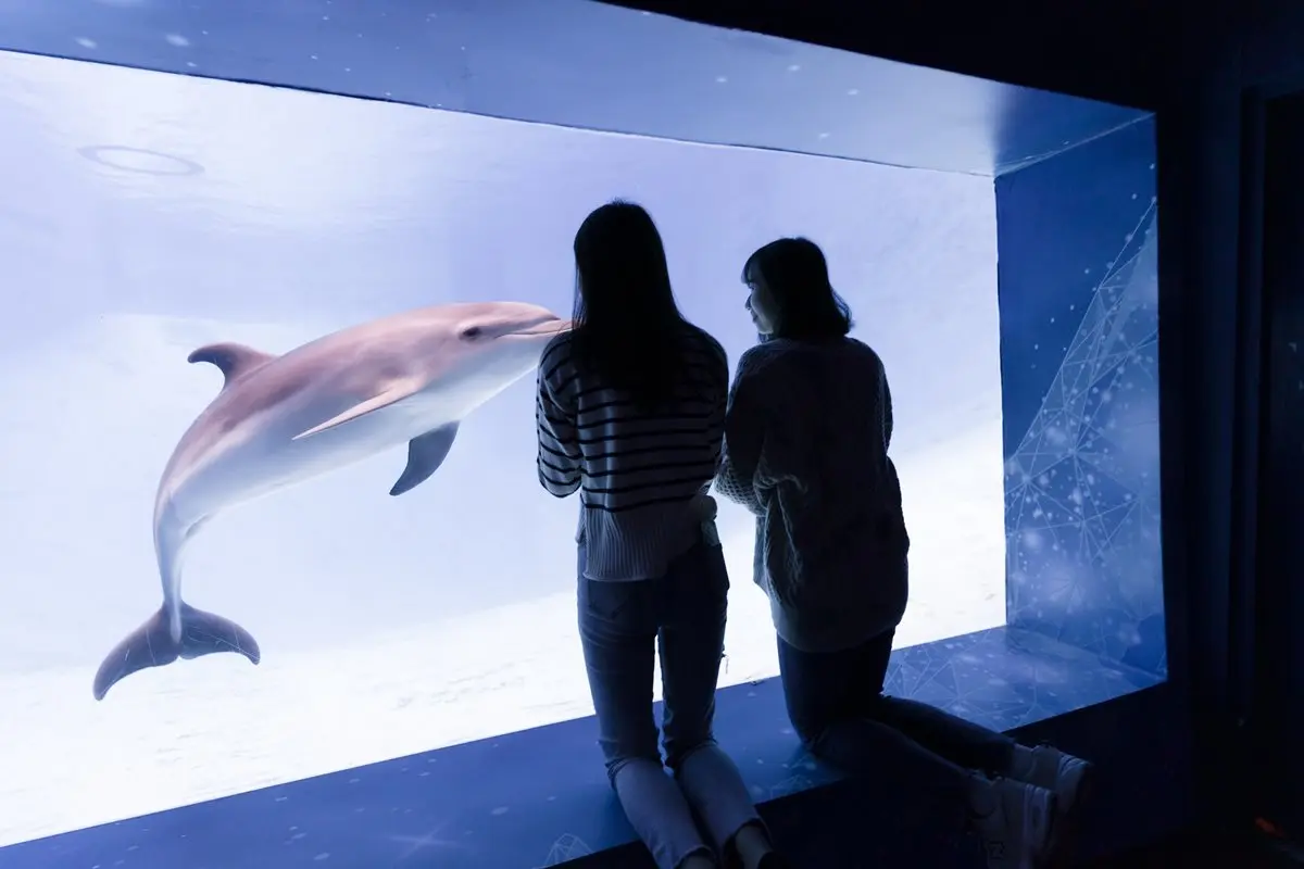 台中海生館明年開幕!10公尺深巨型水槽與4大展區必看,遠雄海洋公園祭住宿+門票37折 台中海生館明年開幕!10公尺深巨型水槽與4大展區必看,遠雄海洋公園祭住宿+門票37折