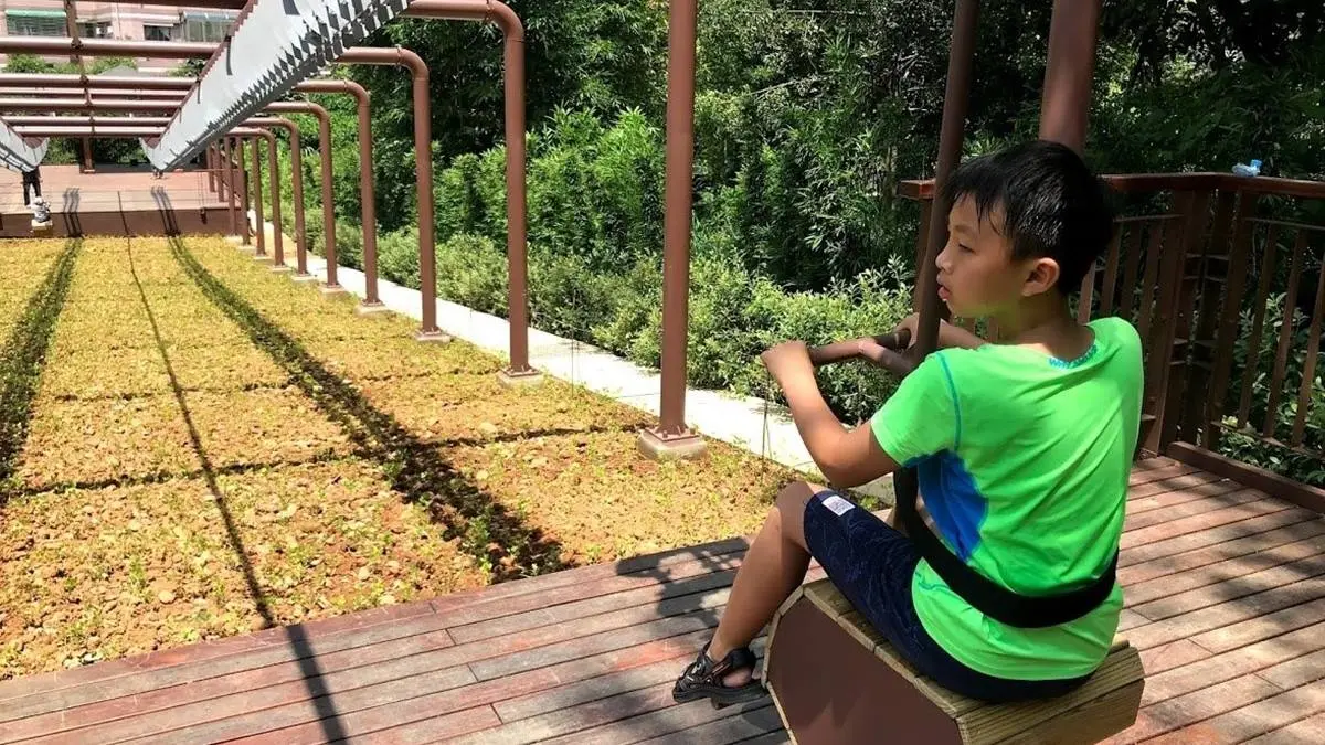 爸媽快收！桃園梯田公園全齡遊戲設施大朋友也能玩，先衝超刺激松鼠嬉戲溜索