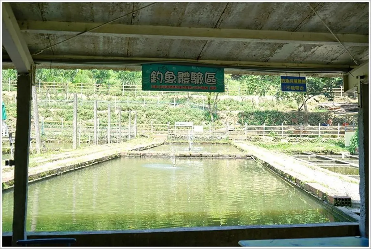 整天玩不膩！桃園親子休閒農場餵鹿、摸蜆通通有，噴汁烤全雞想吃要預約