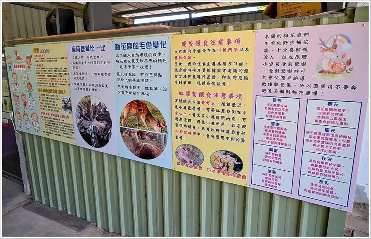 整天玩不膩！桃園親子休閒農場餵鹿、摸蜆通通有，噴汁烤全雞想吃要預約