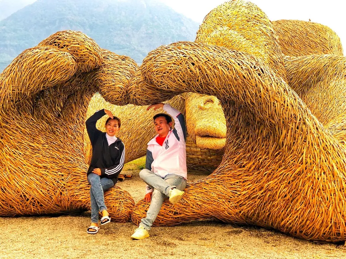 大型動物園來了!花蓮「富里稻草藝術節」正式登場,20組作品先拍龍貓車站、暴龍、企鵝 大型動物園來了!花蓮「富里稻草藝術節」正式登場,20組作品先拍龍貓車站、暴龍、企鵝