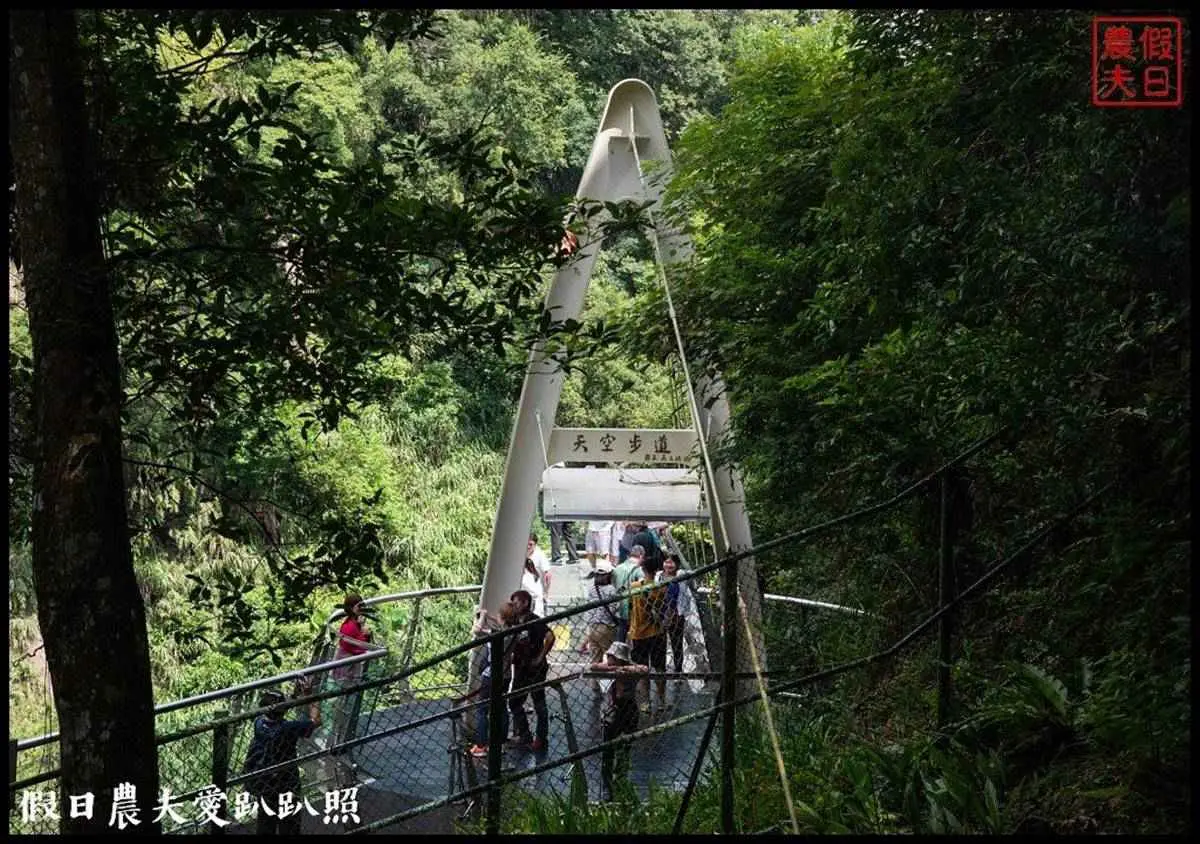小烏來就這樣玩!透明天空步道賞溪谷美景,挑戰70公尺繩橋還能打卡絕美瀑布 小烏來就這樣玩!透明天空步道賞溪谷美景,挑戰70公尺繩橋還能打卡絕美瀑布