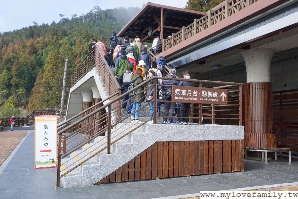 森林浴+溫泉浴雙享受！搭蹦蹦車美拍宜蘭太平山，順路喝雲海咖啡、泡仙氣美人湯