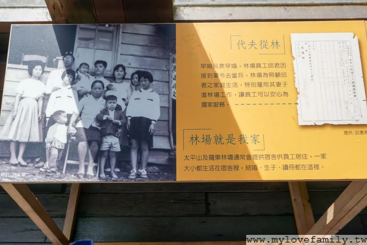 森林浴+溫泉浴雙享受！搭蹦蹦車美拍宜蘭太平山，順路喝雲海咖啡、泡仙氣美人湯