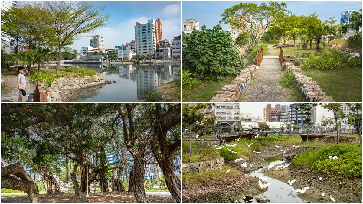 台南市中心最美生態公園!賞白鷺鷥群、談情說愛樹,順路玩親子最愛親水廣場