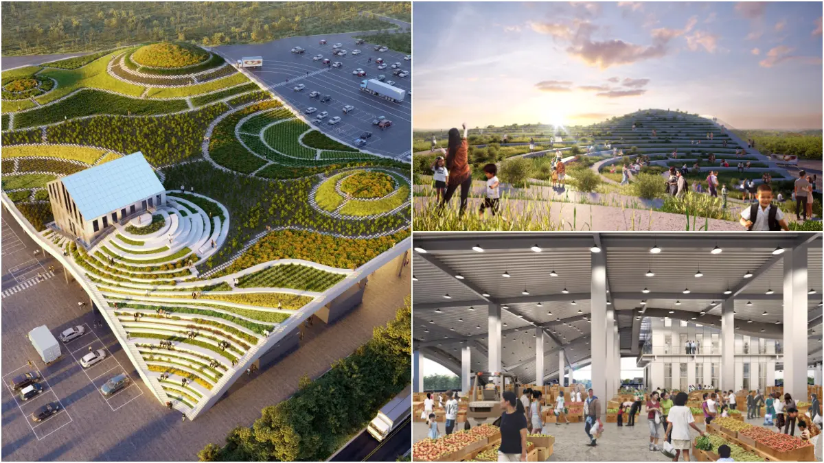 全台首間「梯田式菜市場」！台南「新化果菜市場」9月開，波浪式屋頂種菜、遛小孩