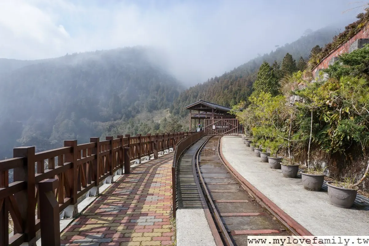 森林浴+溫泉浴雙享受！搭蹦蹦車美拍宜蘭太平山，順路喝雲海咖啡、泡仙氣美人湯