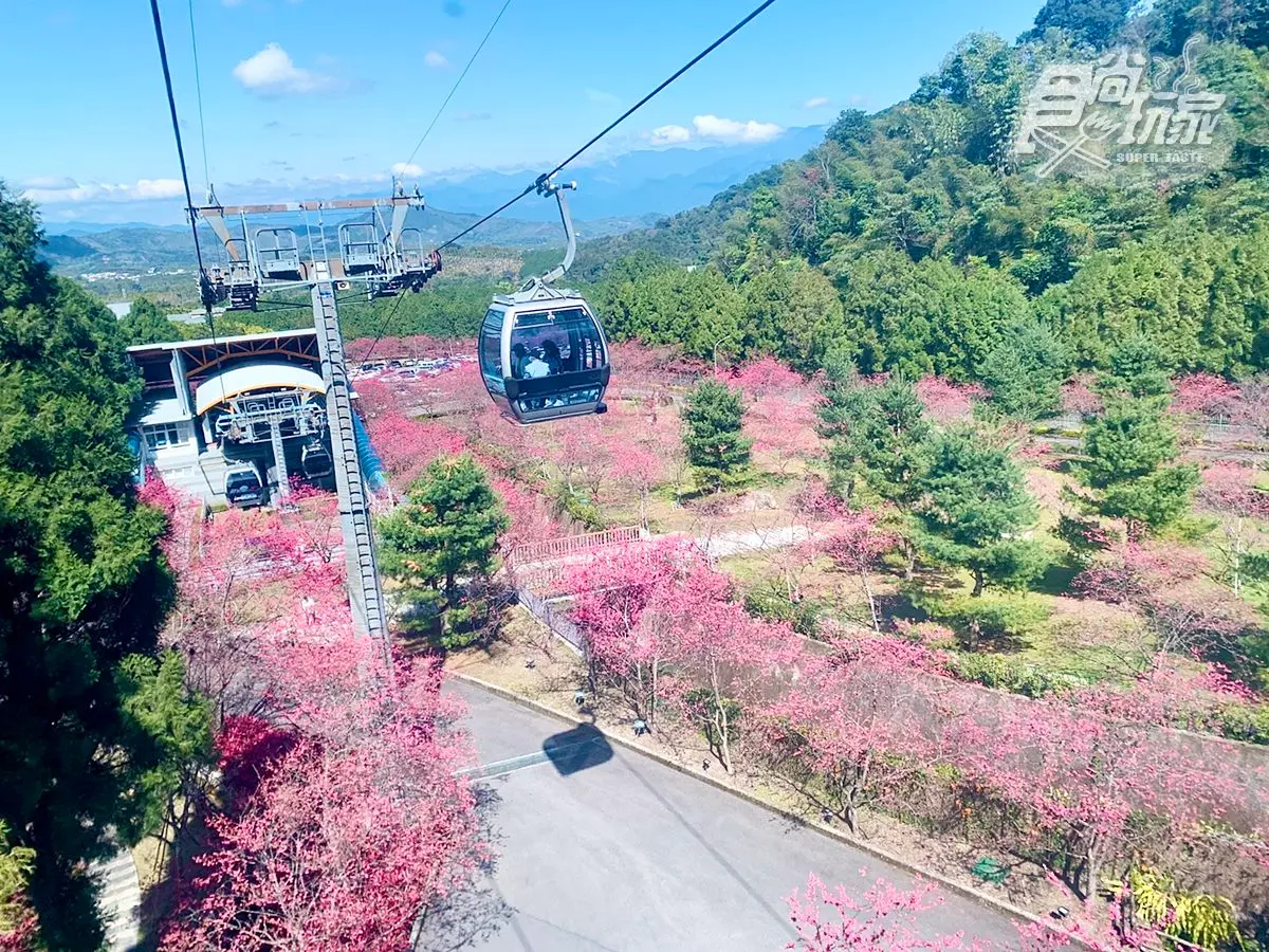 228連假出門玩!全台13間樂園門票優惠:兒童「免費入園」、屬牛99元、鄉親現省191元 228連假出門玩!全台13間樂園門票優惠:兒童「免費入園」、屬牛99元、鄉親現省191元