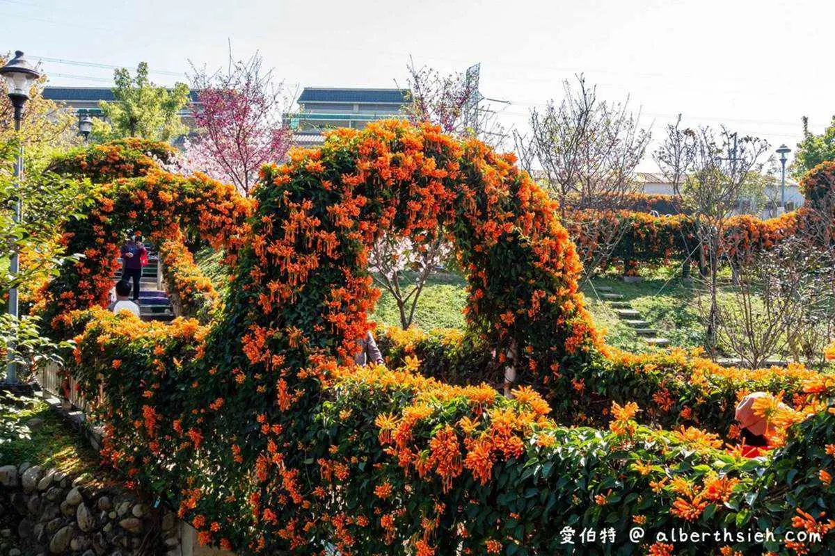 連假打卡必衝!新北4處免費美拍花海:粉嫩河津櫻、炮仗花隧道 連假打卡必衝!新北4處免費美拍花海:粉嫩河津櫻、炮仗花隧道