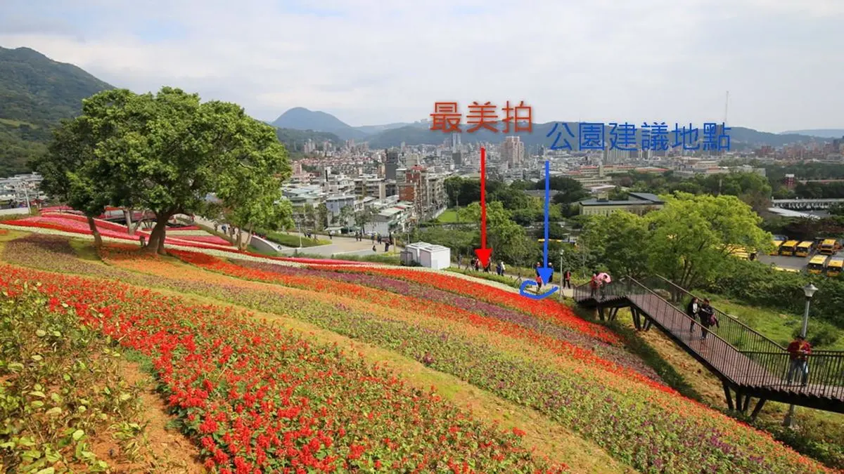 台版富良野花海！台北IG祕境賞超大波浪彩虹花毯，站「這裡」取景最美拍