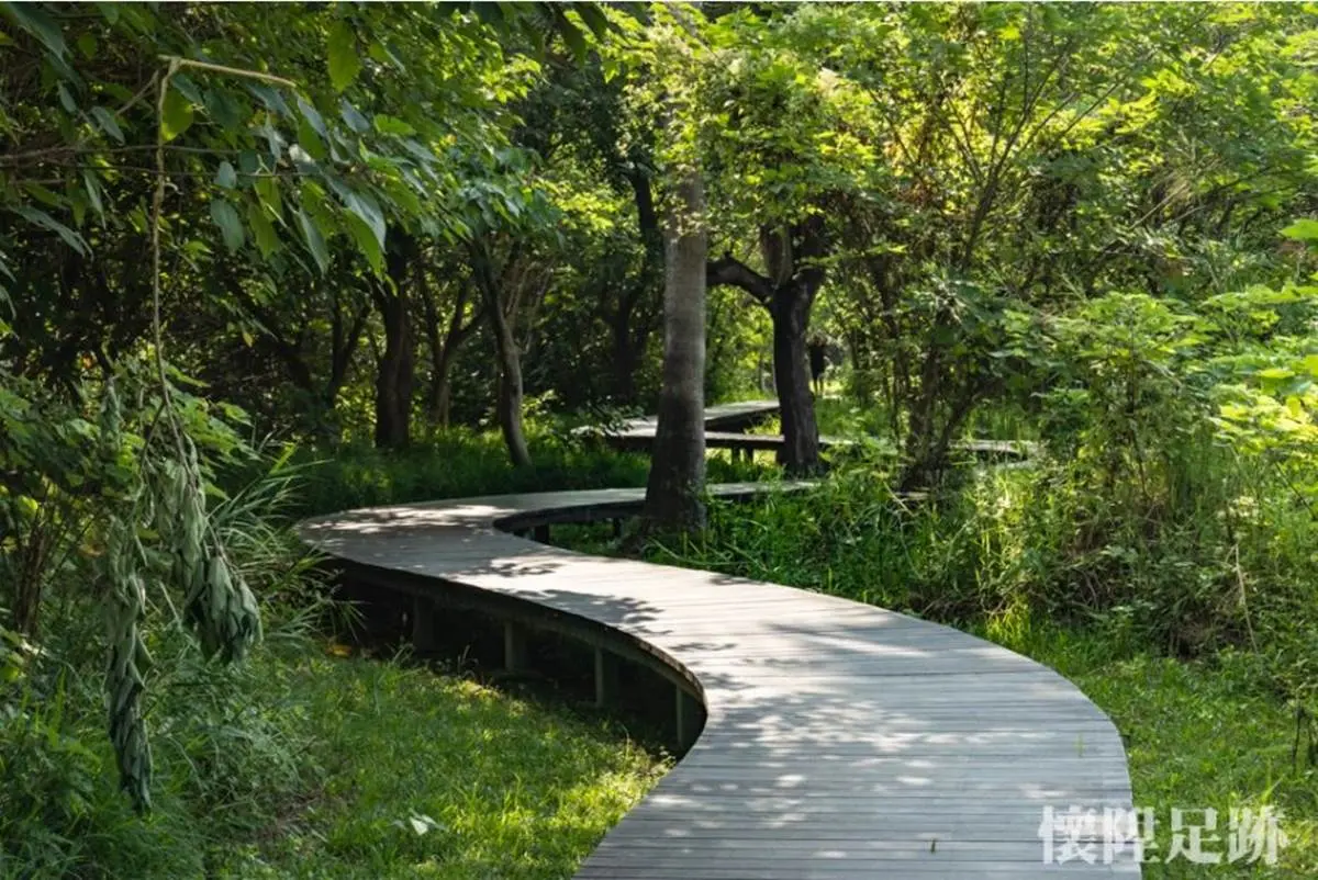 台版紐約中央公園!市區洗森林浴,打卡浪漫夢湖、夫妻樹、荷花池畔拱橋 台版紐約中央公園!市區洗森林浴,打卡浪漫夢湖、夫妻樹、荷花池畔拱橋