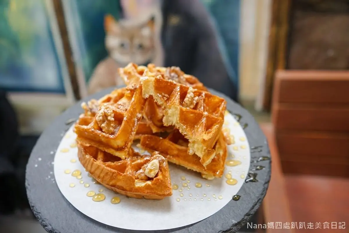店貓陪吃下午茶！隱藏版咖啡館美得像森林，香濃「蜂蜜核桃鬆餅」貓咪也喜歡