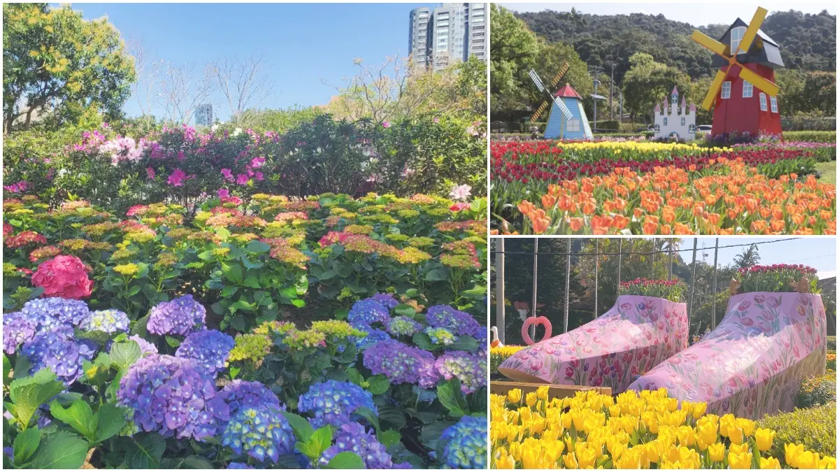 花控連假一次追!大安森林公園「杜鵑&繡球花」、士林官邸11萬株「鬱金香花海」都美翻