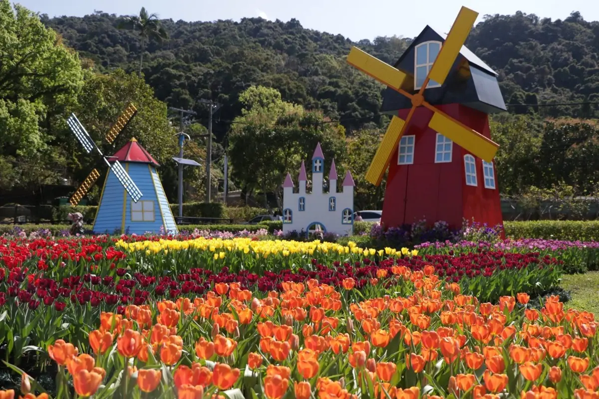 花控連假一次追！大安森林公園「杜鵑&繡球花」、士林官邸11萬株「鬱金香花海」都美翻