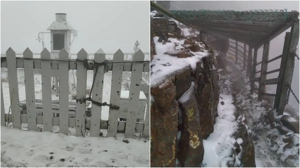 賞雪族注意!玉山氣溫驟降飄「三月雪」,氣象局指9日前還有機會降雪 賞雪族注意!玉山氣溫驟降飄「三月雪」,氣象局指9日前還有機會降雪