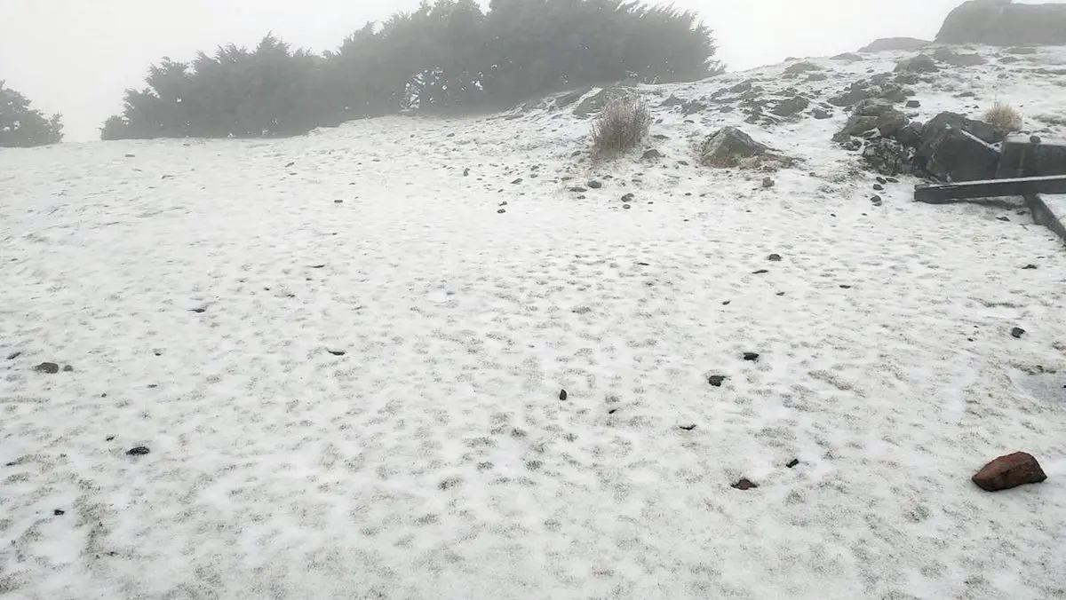 賞雪族注意!玉山氣溫驟降飄「三月雪」,氣象局指9日前還有機會降雪 賞雪族注意!玉山氣溫驟降飄「三月雪」,氣象局指9日前還有機會降雪